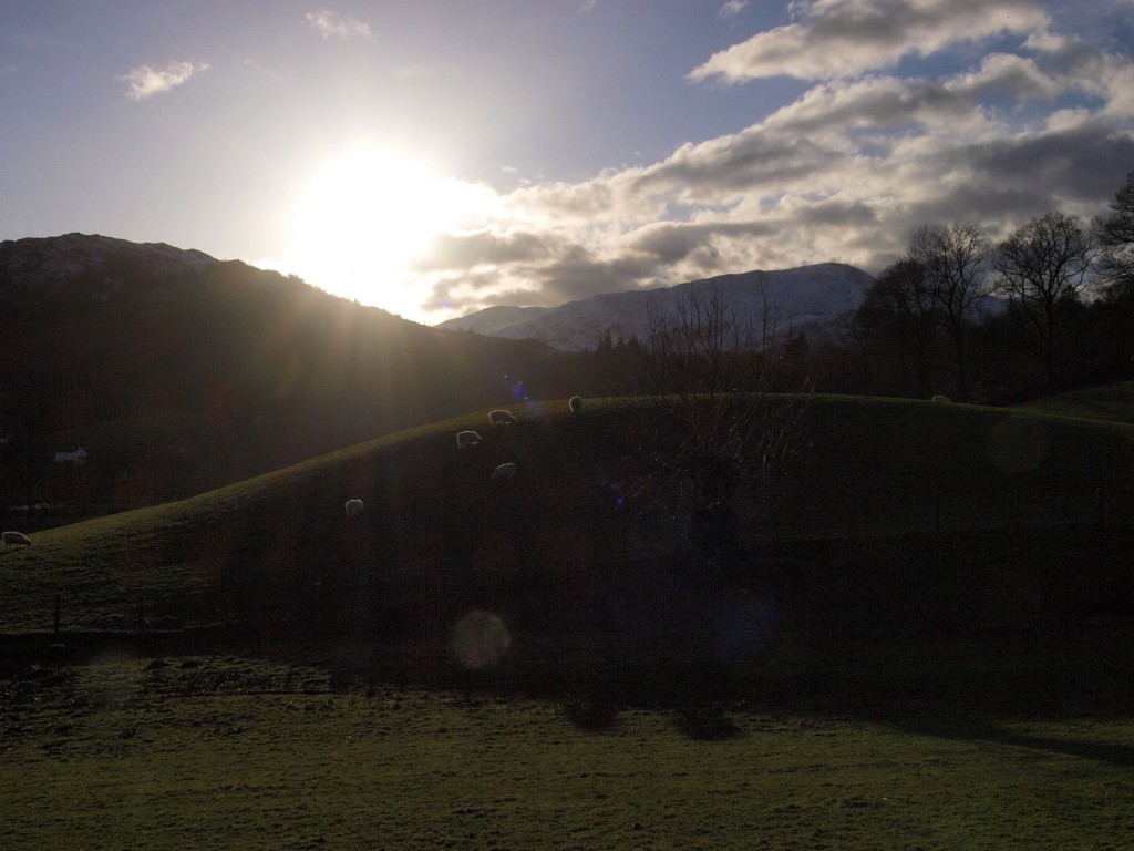 OLYMPUS DIGITAL CAMERA