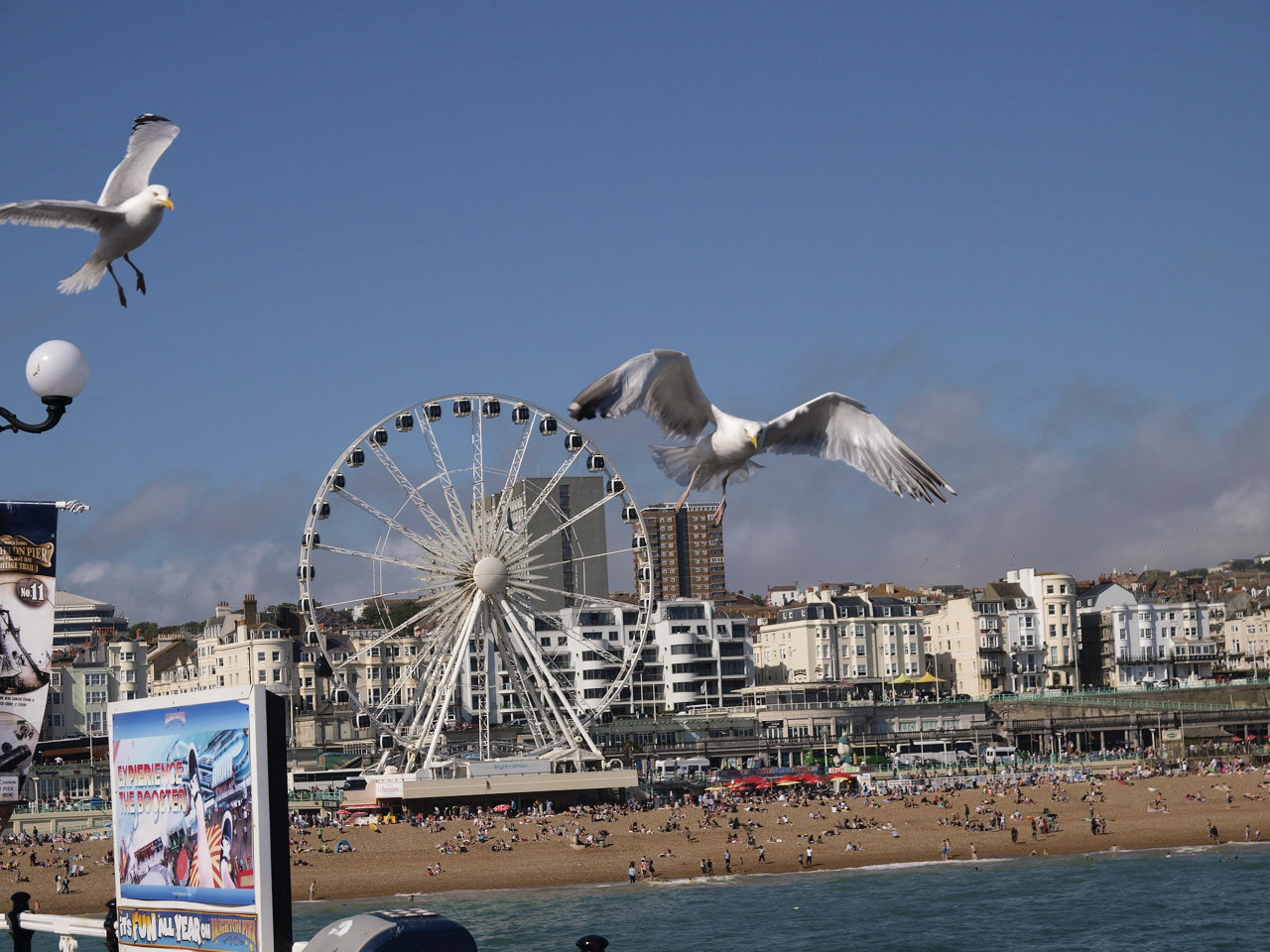 Brighton-29